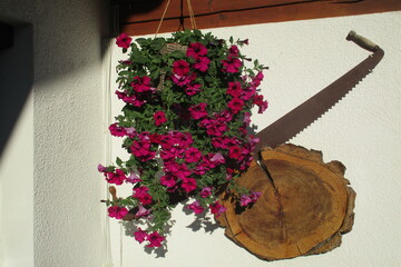 Blumen Detailaufnahme