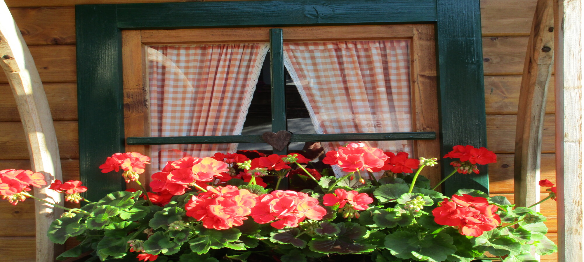Blumenfenster