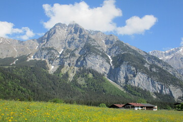 Sommer
