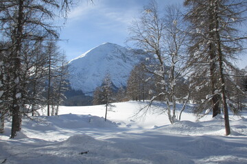 Winter