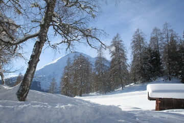 Winter Detail